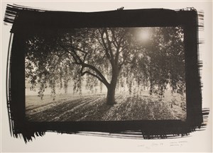 Image description is not available for 2023.043